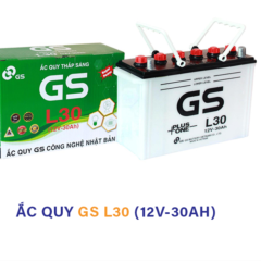 Ắc Quy GS Thắp Sáng L30 12V 30Ah