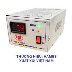 Hames 24V 100Ah-2